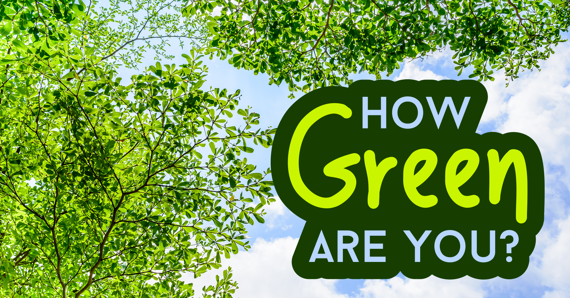 How Green Are You? Quiz