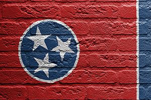 Which City in Tennessee Should You V...