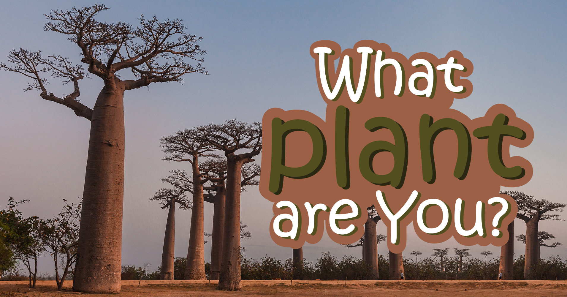 What Plant Are You? Quiz