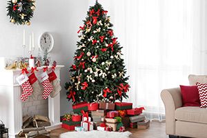 What's Your Christmas Decor Style?