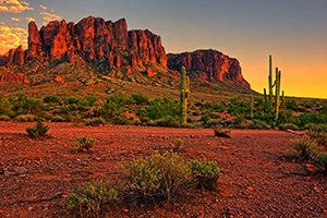 Which City In Arizona Is Best For You?