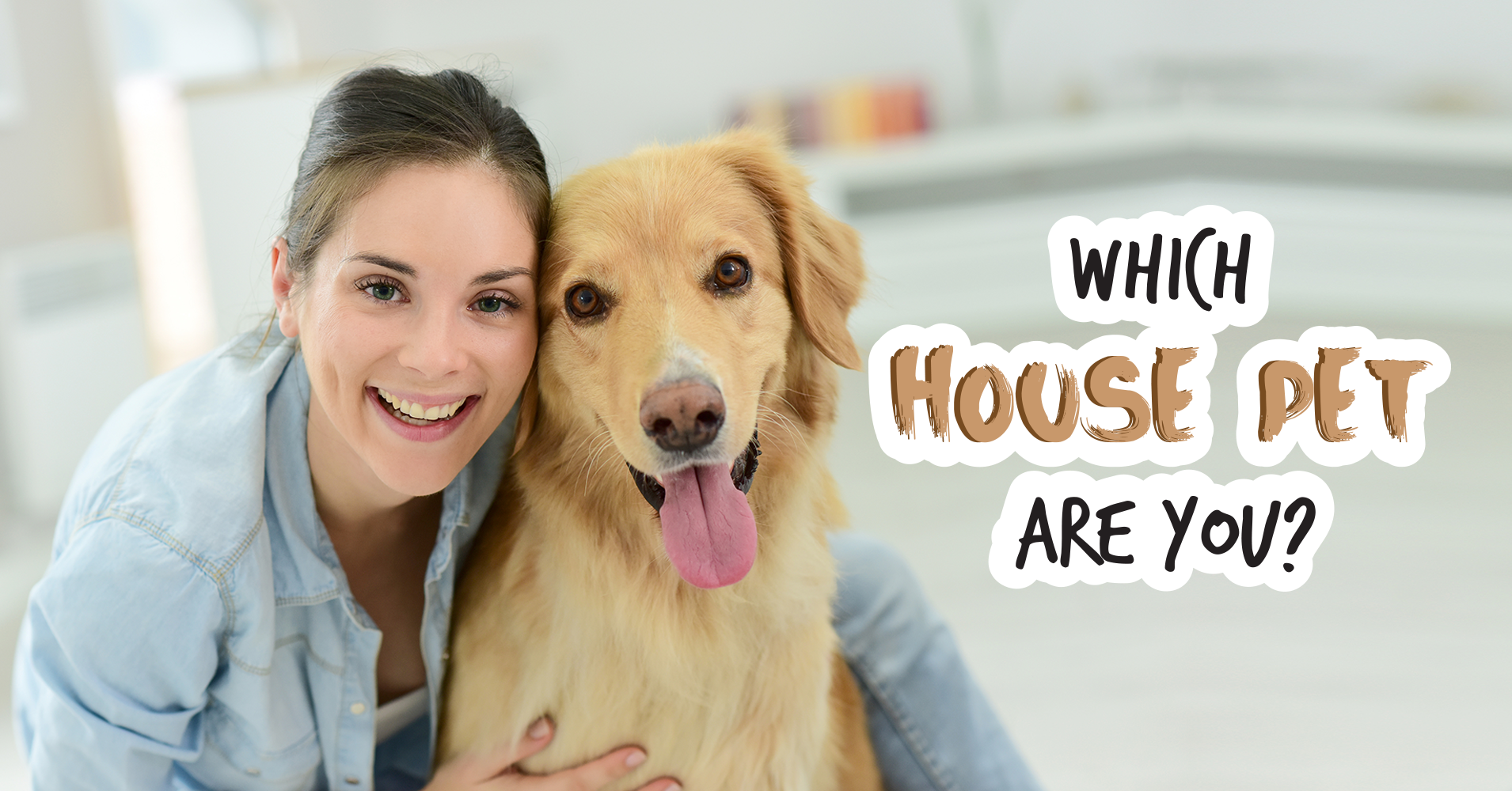 Which House Pet Are You? Quiz