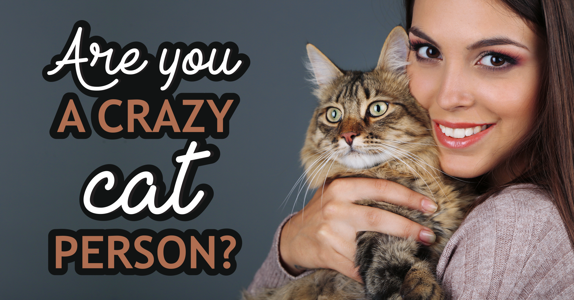 Am I A Cat Lady? - Quiz - Quizony.com