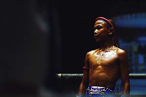 Are You A Fighter Or A Coward?