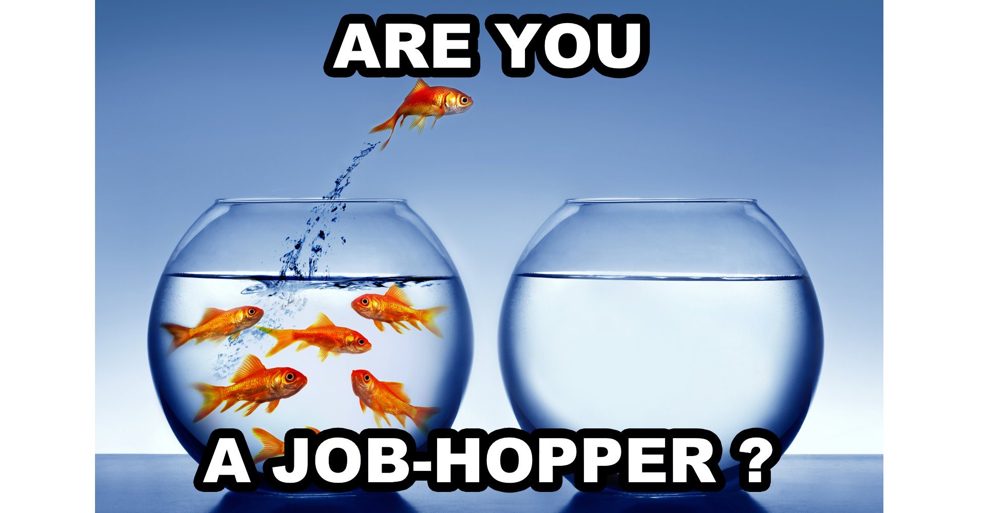 Job Hopping Quiz Quiz