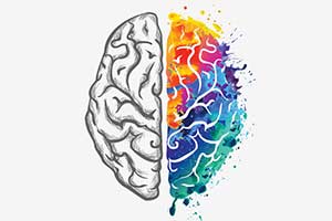 Are You A Left-Brain Or Right-Brain ...