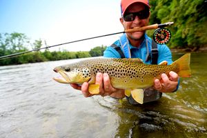 Are You Good At Fly Fishing?