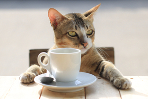 article-benefits-of-drinking-coffee