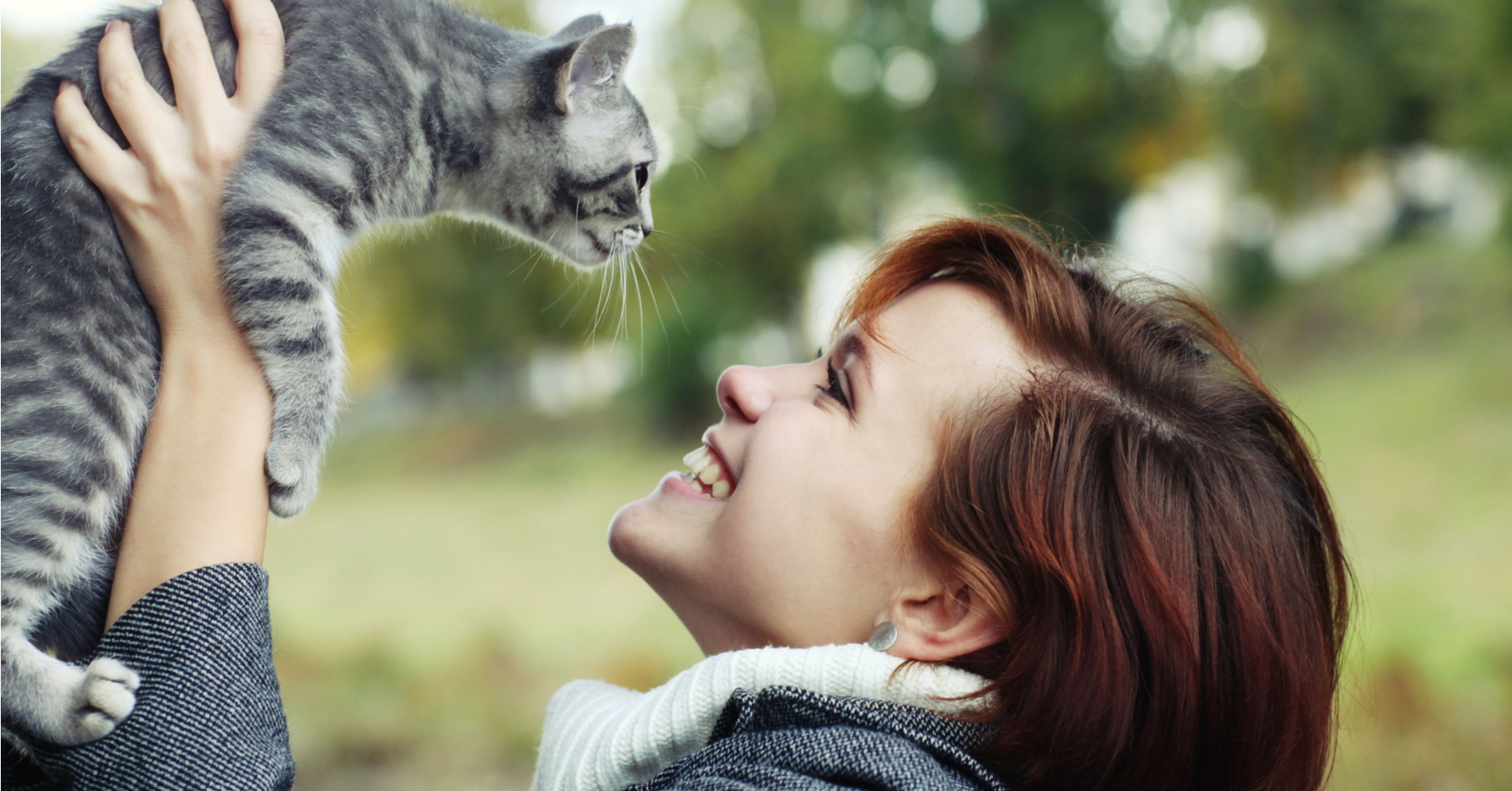 Health Benefits Of Owning A Cat Article