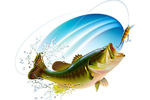 Bass Fishing Quiz