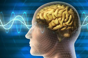 What Is Your Brain Good At?