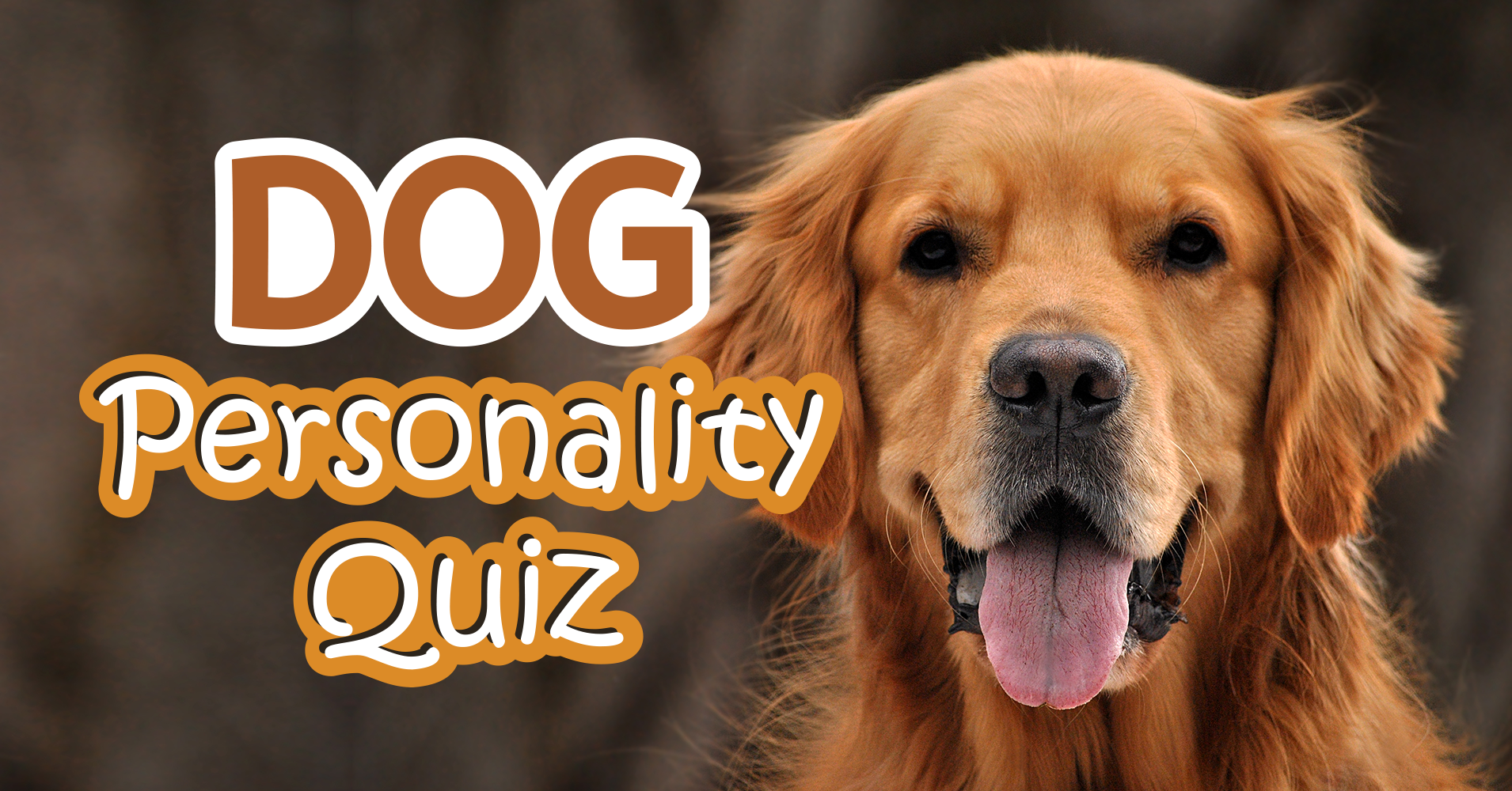 Dog Personality Quiz Quiz
