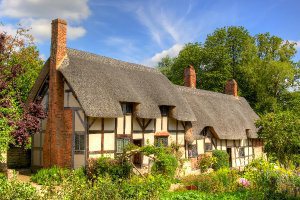 What House Should You Live in?