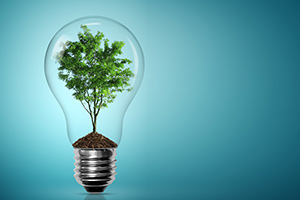 How 'Earth Friendly' Are You?