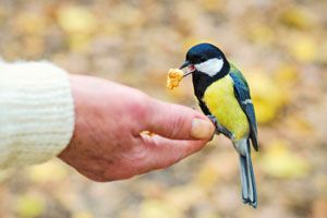 How Generous Are You?