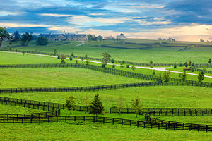 How Kentuckian Are You?