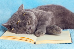 How Lovable Are You?