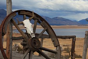 How Would You Die In The Wild West?