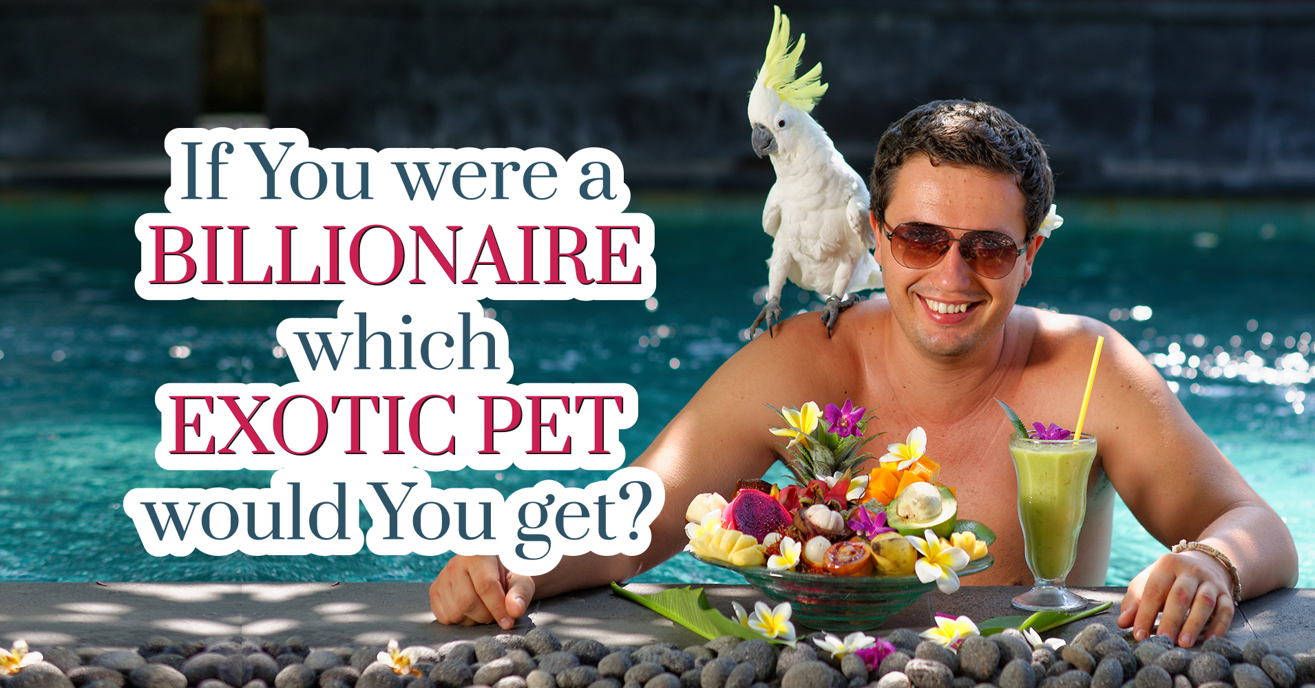 If You Were A Billionaire, Which Exotic Pet Would You Get? Quiz