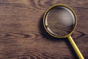 riddle-how-many-animals-can-you-find