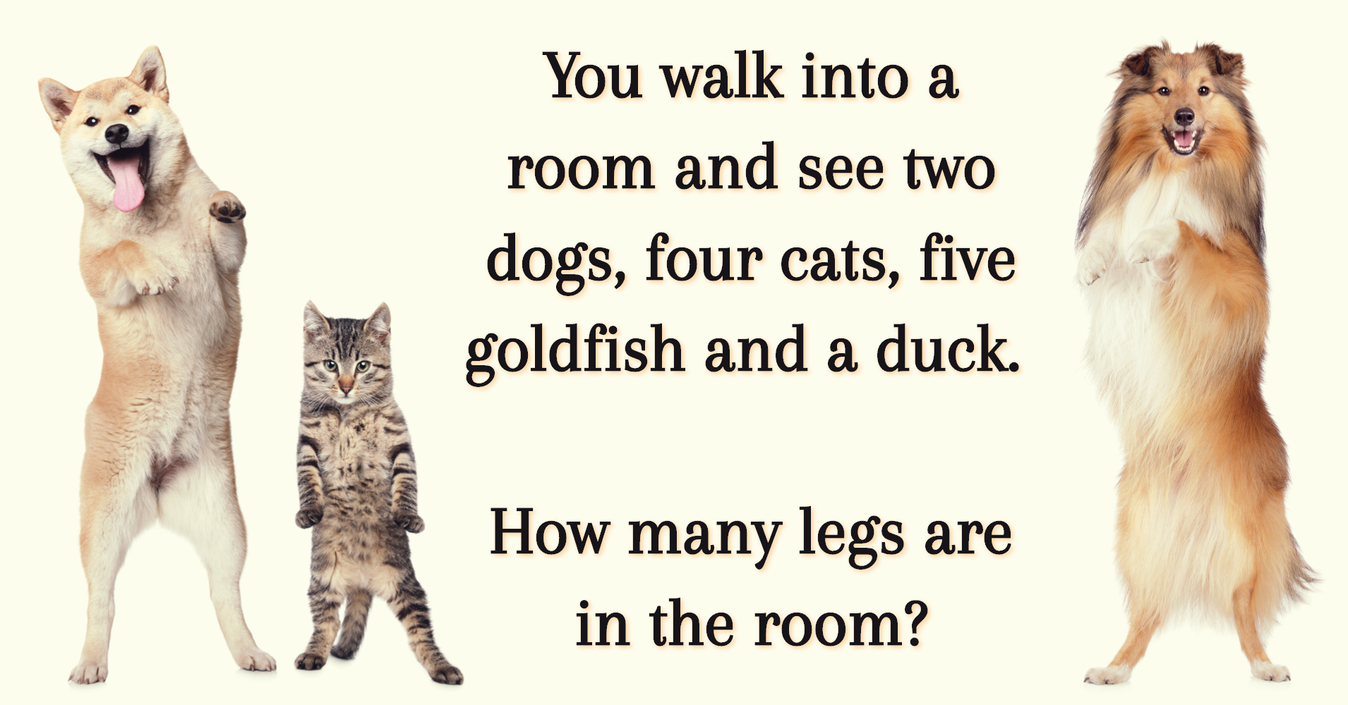 How many legs are in the room? Riddle