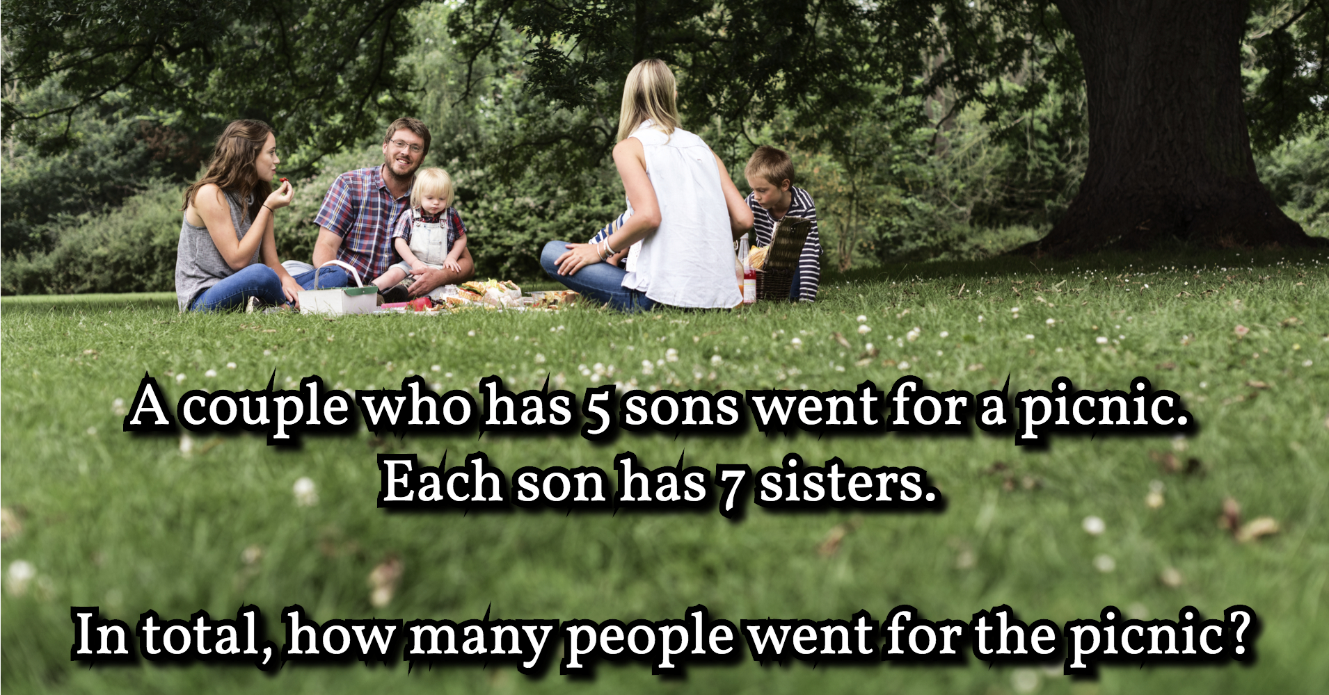How many people went for the picnic? Riddle