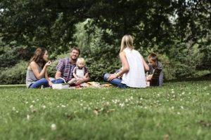 riddle-how-many-people-went-for-the-picnic