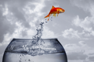 riddle-you-can-drop-me-from-the-tallest-building