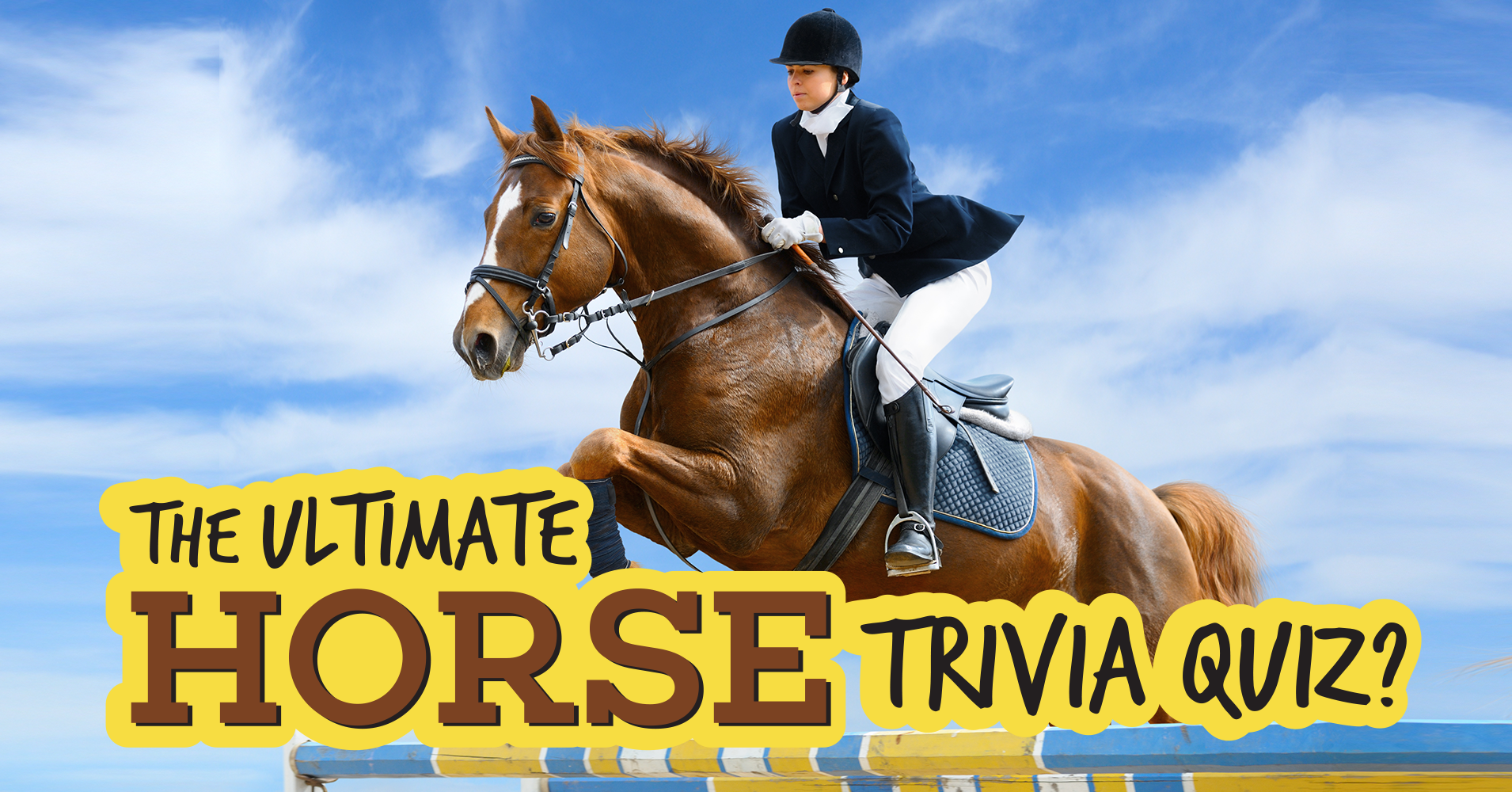 The Ultimate Horse Trivia Quiz Quiz Quizony Com
