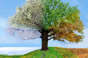 What Climate Should You Live In?