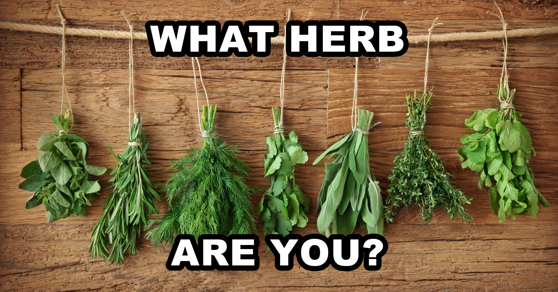 What Herb Are You? Quiz