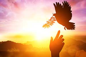 What Is Your Hippie Cause?