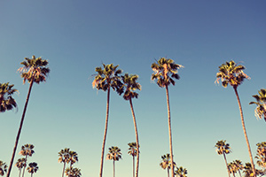 What Is Your Southern Name?