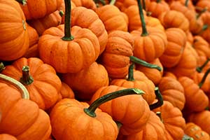 What Outdoor Activity Should You Do ...