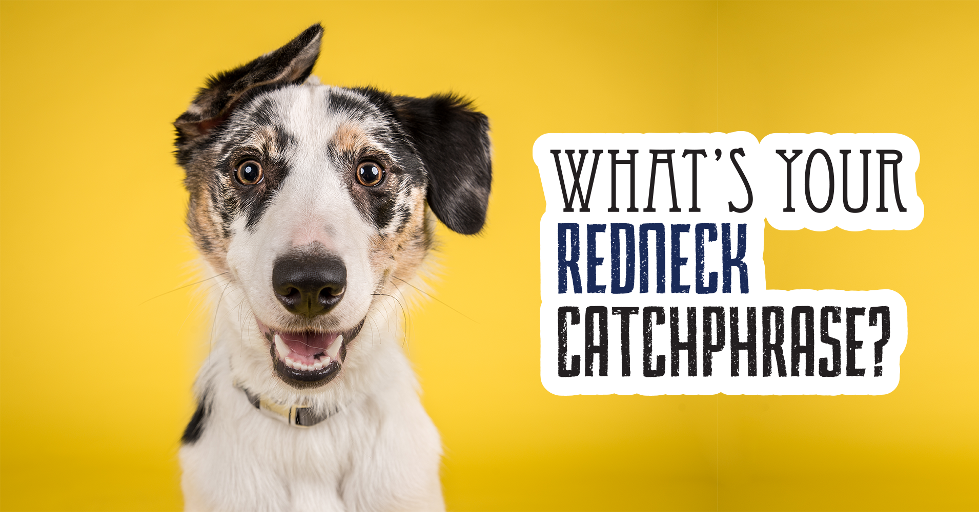 What's Your Redneck Catchphrase? - Quiz