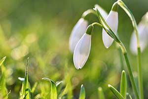 What Season Best Suits Your Personal...