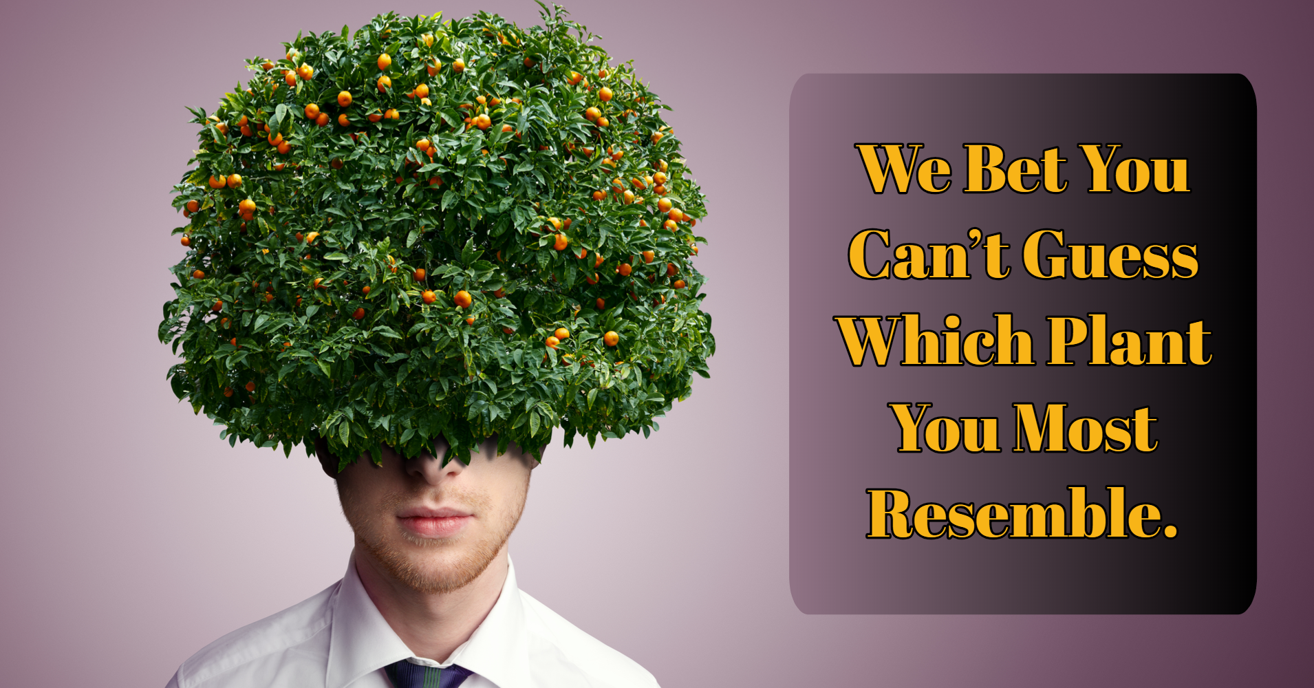 What Type of Plant Would You Be? Quiz