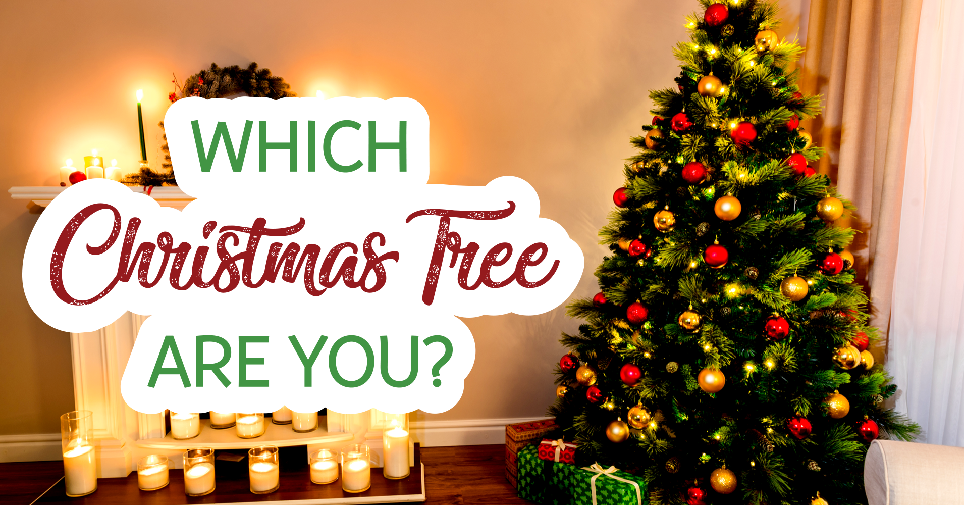 Which Christmas Tree Are You? Quiz