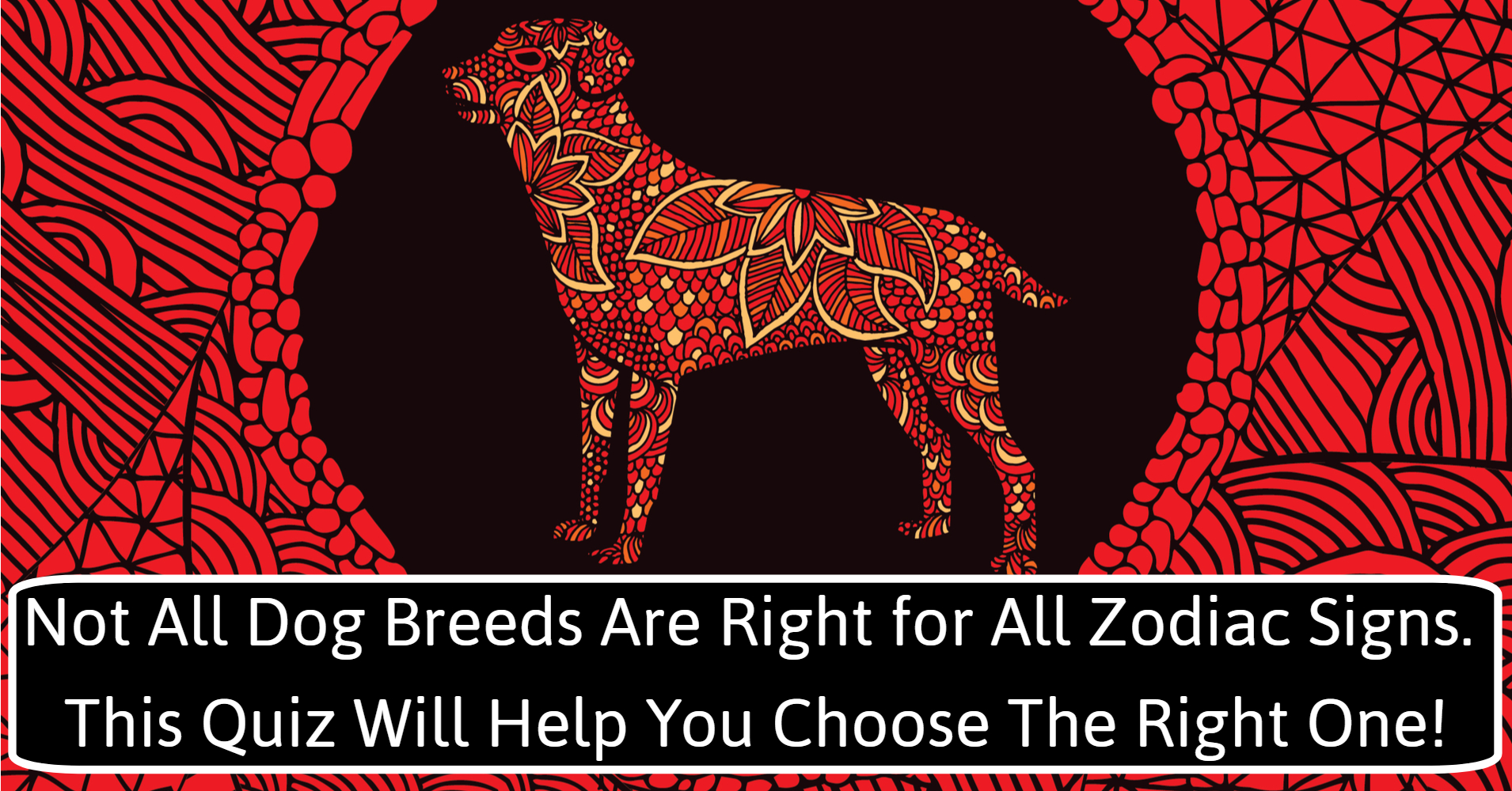 What Dog Is Best For Your Zodiac Sign
