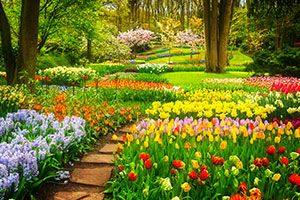 Which Famous Garden Should You Visit?