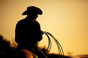 Which Fiction Genre Are You?