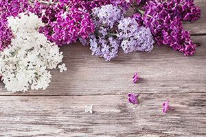 Which Flower Matches Your Personality?