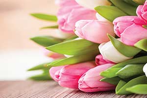 Which Flowers Should You Choose To D...