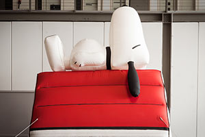 Which Peanuts Character Are You?