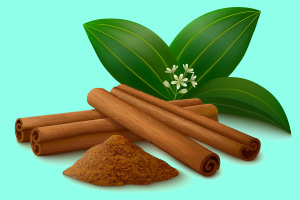 Which Spice Are You?