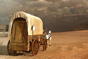 Who Would You Have Been in the Wild,...