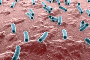 Would You Survive The Plague?